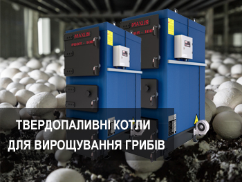 Твердопаливні котли у грибництві: Оптимальний вибір та інженерні рішення для ефективного вирощування Твердопаливні котли у грибництві: Оптимальний вибір та інженерні рішення для ефективного вирощування фото