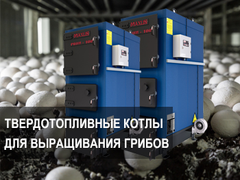 Твердотопливные котлы в грибничестве: Оптимальный выбор и инженерные решения для эффективного выращивания Твердотопливные котлы в грибничестве: Оптимальный выбор и инженерные решения для эффективного выращивания фото