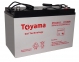 Гелевый аккумулятор Toyama NPG 100A-12V фото товара