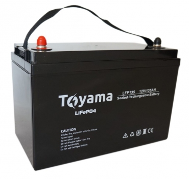 Литиевый аккумулятор Toyama LFP100A-12V