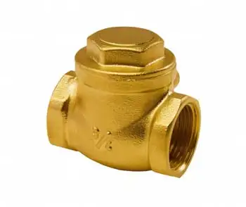 Зворотний клапан пелюстковий ВВ DN50 2