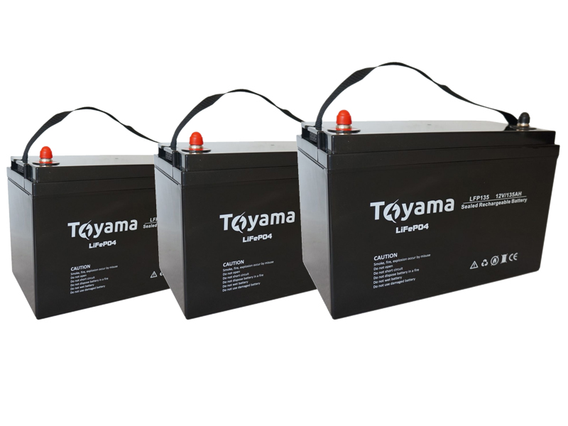 Литиевые (LiFePO4) аккумуляторы Toyama для дома фото