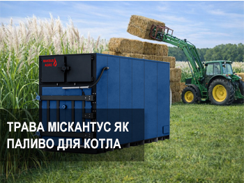 Енергетична революція на власних полях: Міскантус як стратегічний актив бізнесу фото